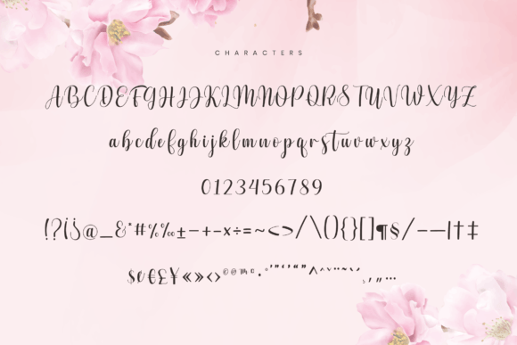 Julio Santa Font Poster 5