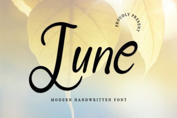 June Font Poster 1