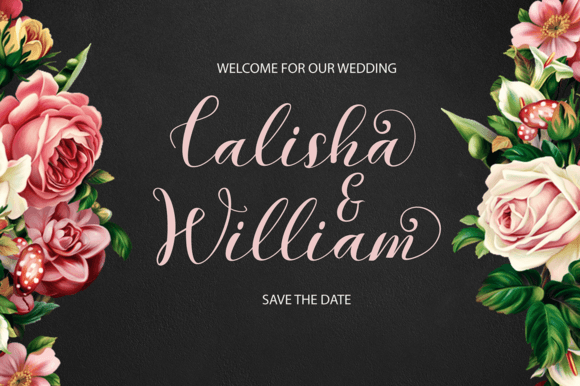 Kalina Font Poster 4