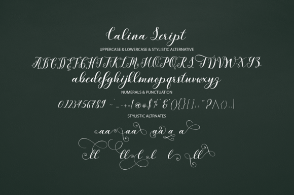 Kalina Font Poster 8