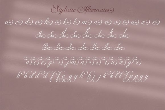 Kalina Font Poster 12