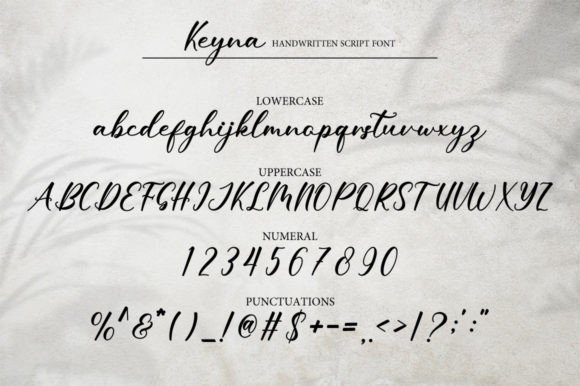 Keyna Font Poster 6