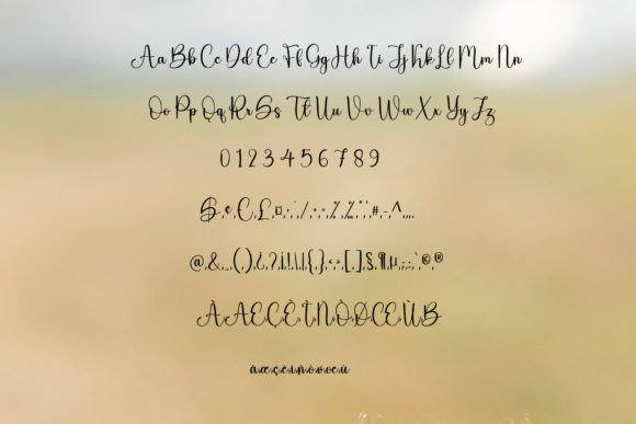 Kindly Font Poster 4