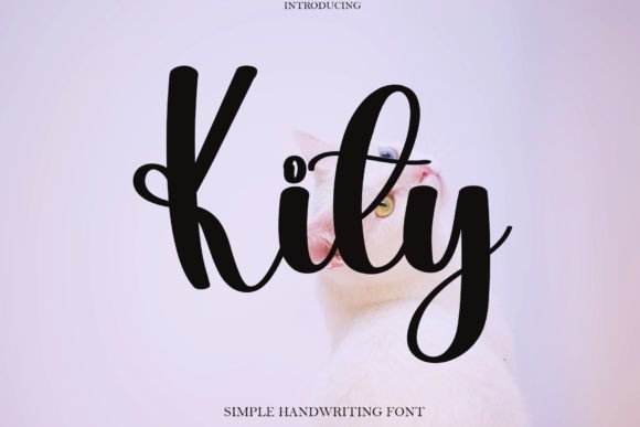 Kity Font Poster 1