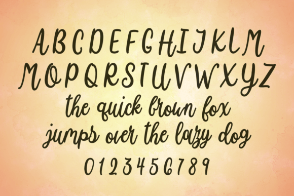 Kiwi Raspberry Font Poster 2