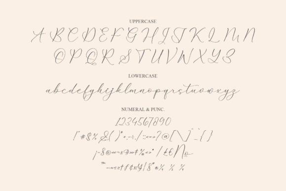 Klasynta Gelisha Font Poster 13