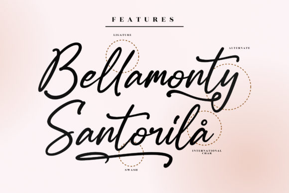 Kollesteroly Font Poster 12