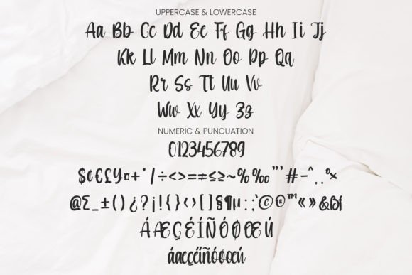 Krisan Font Poster 7