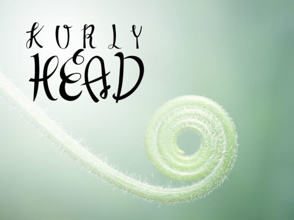 Kurlyhead Font