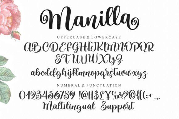 La Manilla Font Poster 8