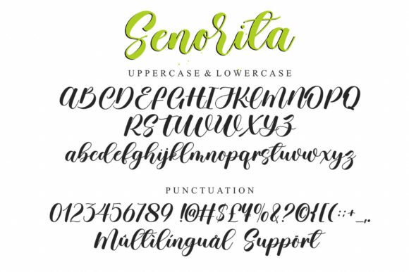 La Senorita Font Poster 8