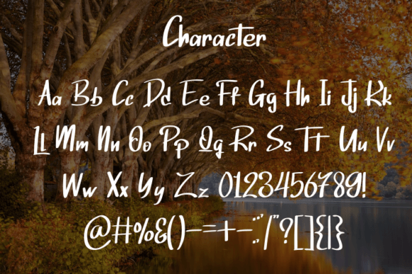 Laiger One Font Poster 3