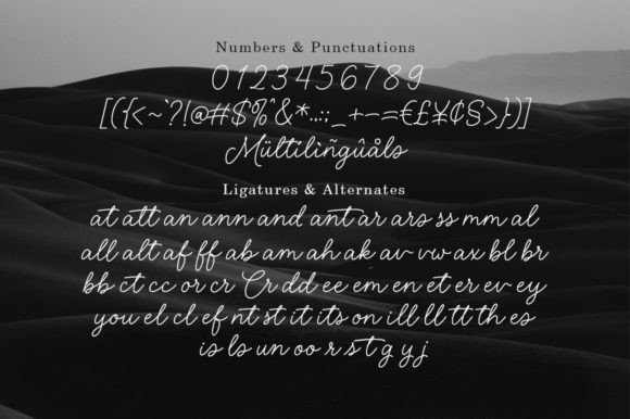 Lauren Hansley Font Poster 6
