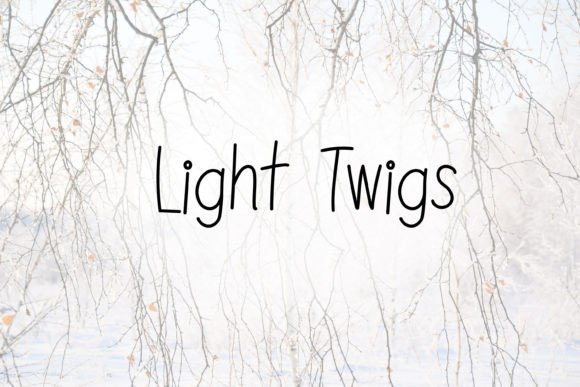 Light Twigs Font Poster 1