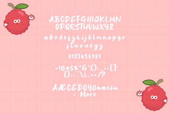 Litchi Days Font Poster 4