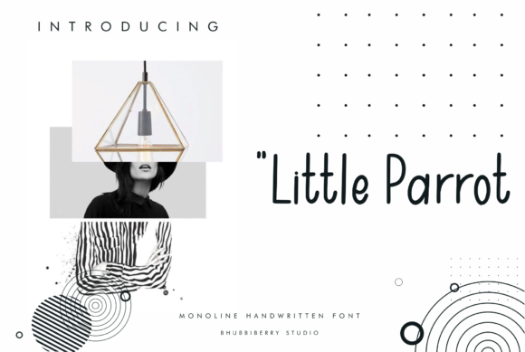 Little Parrot Font