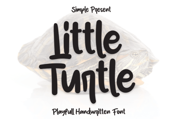 Little Turtle Font Poster 1