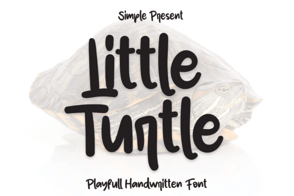 Little Turtle Font