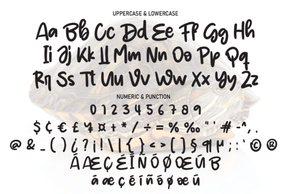 Little Turtle Font Poster 7
