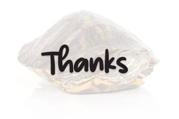 Little Turtle Font Poster 8