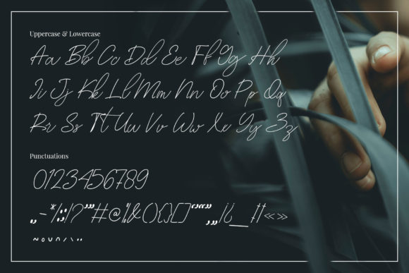 Lloisanne Font Poster 8