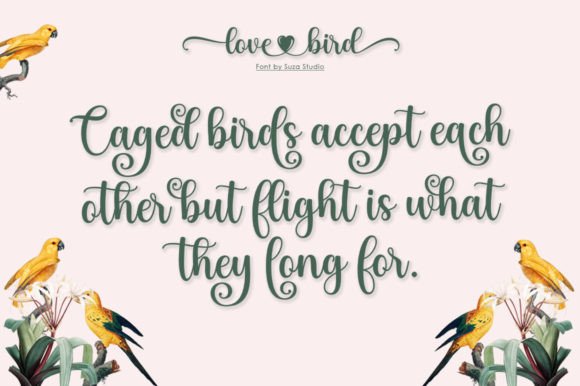Love Bird Font Poster 5