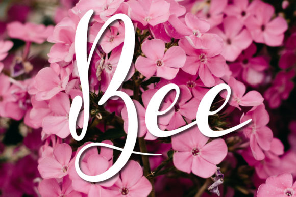 Love Change Font Poster 5