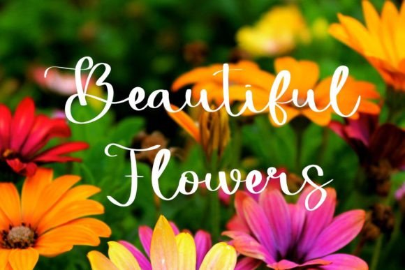Lovely Font Poster 4