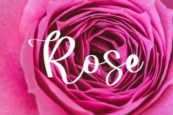 Lovely Font Poster 5