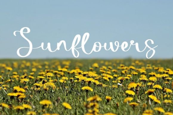 Lovely Font Poster 6