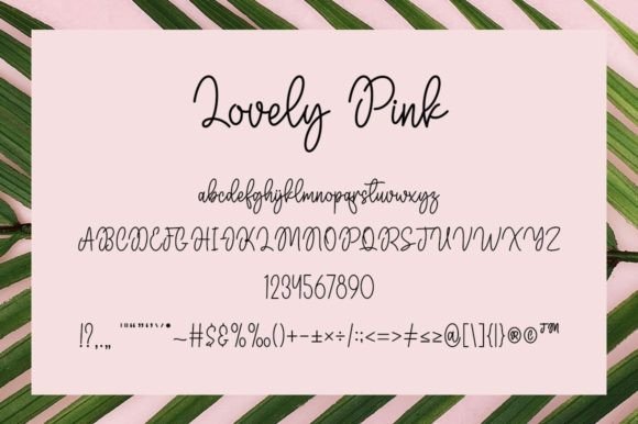 Lovely Pink Font Poster 5