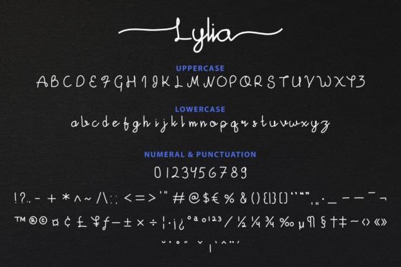 Lylia Font Poster 4