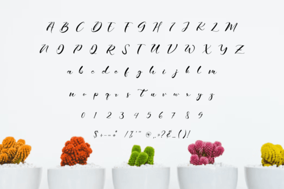 Macyate Font Poster 6