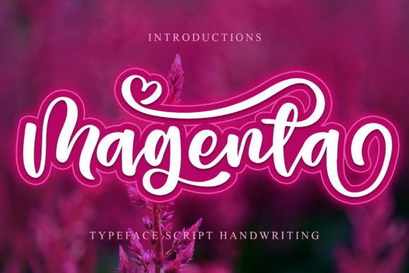 Magenta Font Poster 1