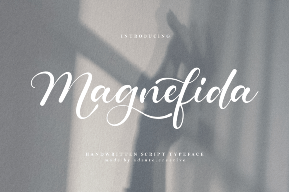 Magnefida Font Poster 1