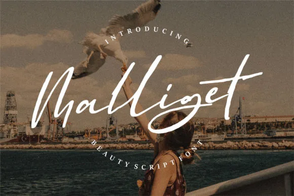 Malliget Font Malliget Font Poster 1