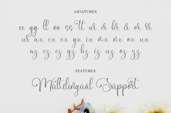 Marcelina Font Poster 11