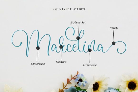 Marcelina Font Poster 8