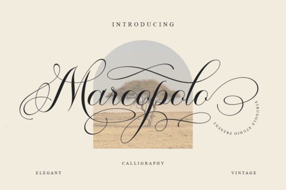 Marcopolo Font Poster 1