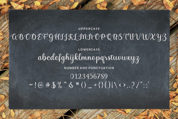 Marlista Beauty Font Poster 9