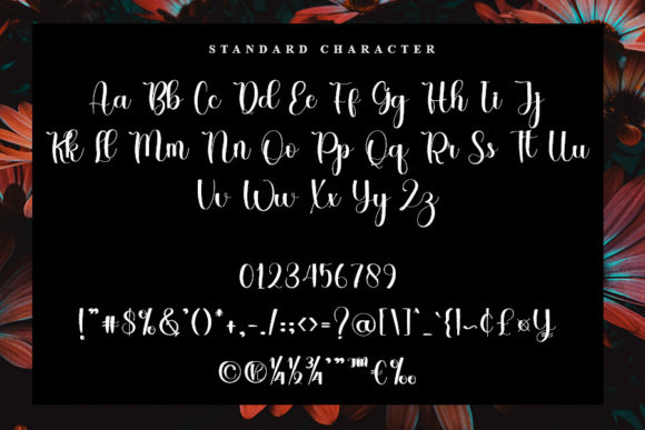 Master Pretties Font Poster 5