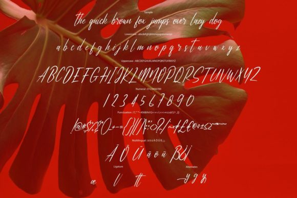 Matollany Font Poster 6