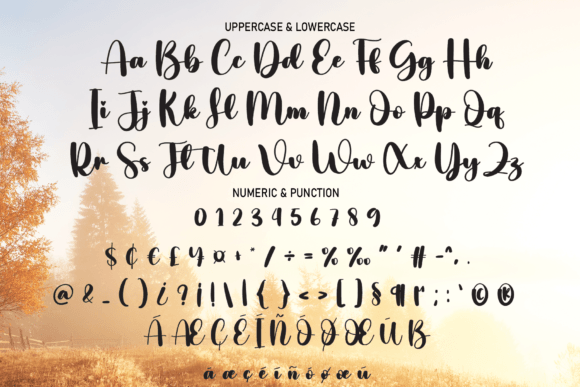 Maybe Font Poster 7