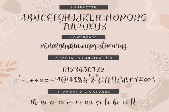 Melister Font Poster 7