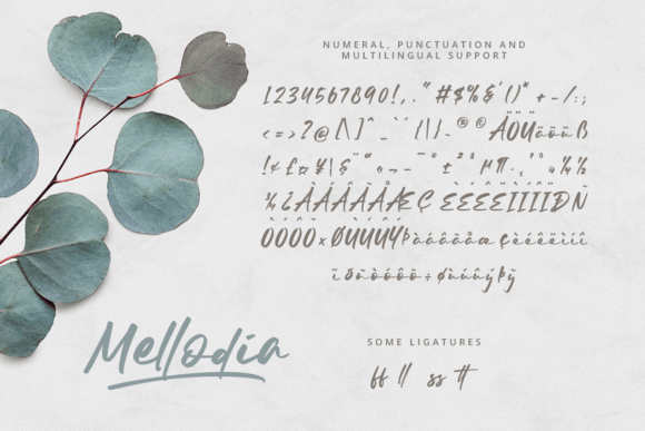 Mellodia Font Poster 9