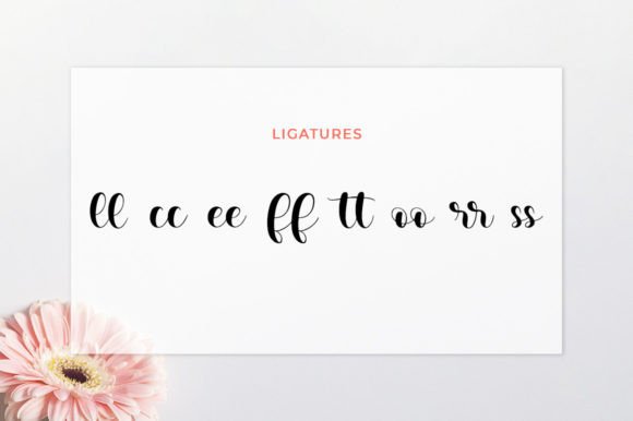 Melyana Font Poster 11