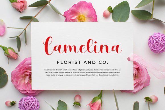 Melyana Font Poster 6