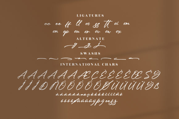 Mendoja Browning Font Poster 14