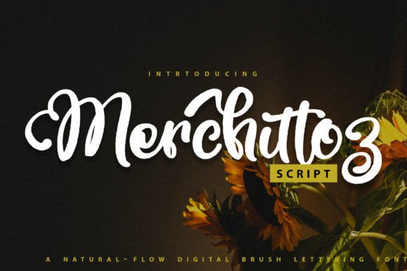 Merchittoz Font Poster 1