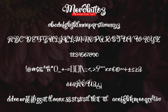 Merchittoz Font Poster 5